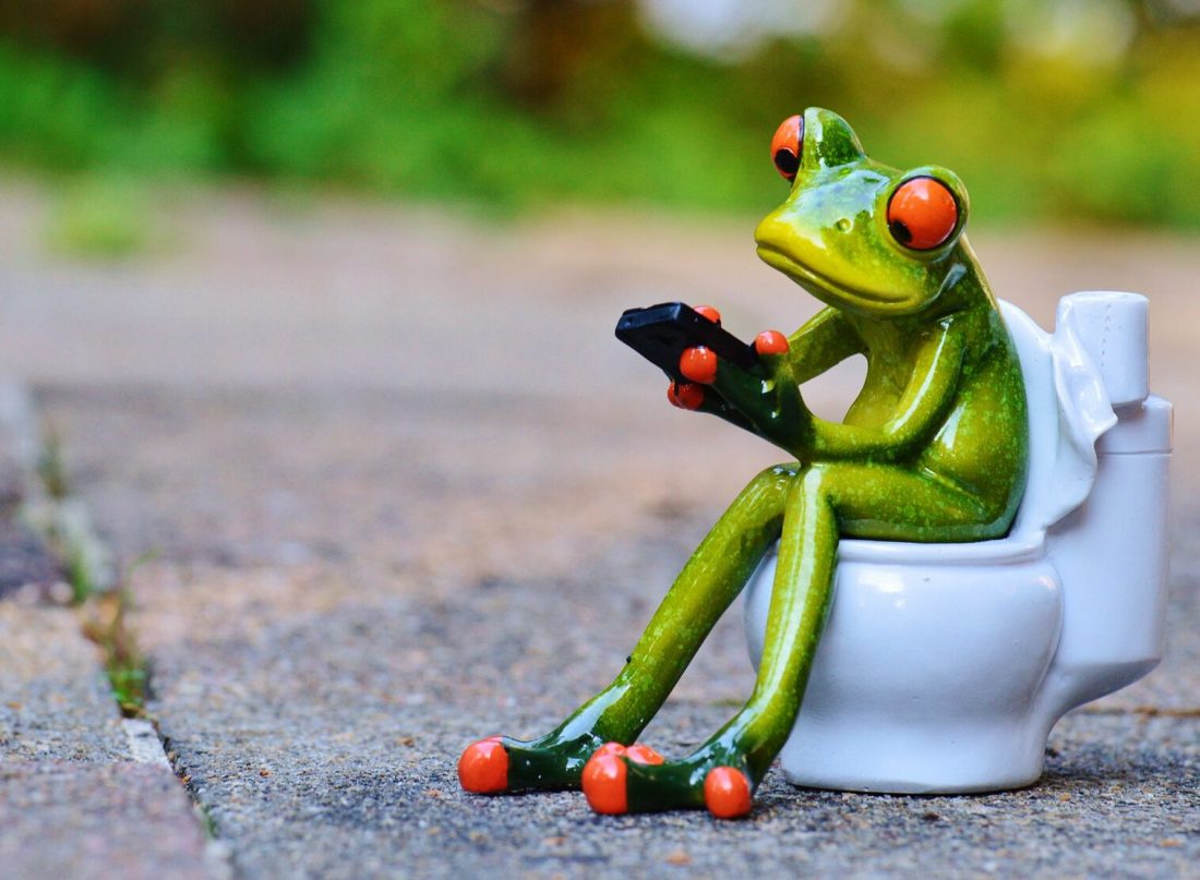 Ein Frosch, der auf der Toilette sitzt – vielleicht einem Dusch-WC?