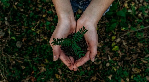 Hände gefüllt mit Erde und einem grünen Zweig als Symbol für Nachhaltigkeit.