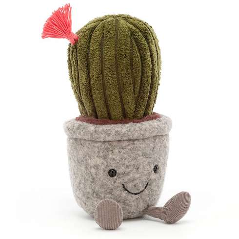 Ein Kaktus aus Plüsch ist gar nicht stachelig.
