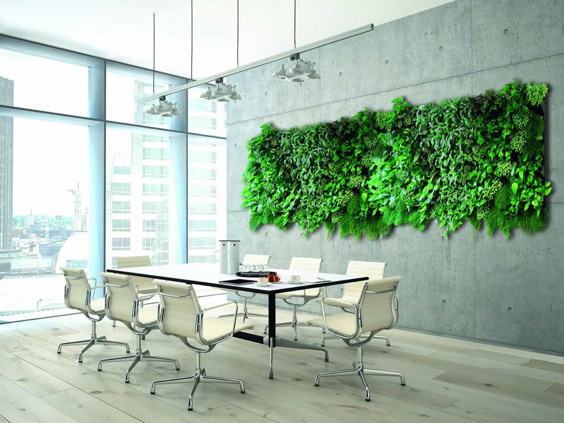 Die grüne Wand plant und entwickelt Gedike Begrünungen GmbH & Co. KG individuell für Geschäftsräume.