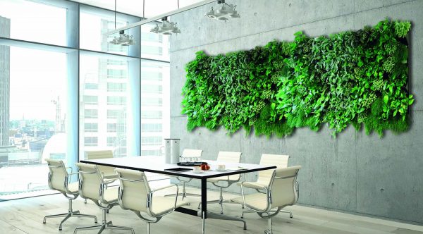 Die grüne Wand plant und entwickelt Gedike Begrünungen GmbH & Co. KG individuell für Geschäftsräume.